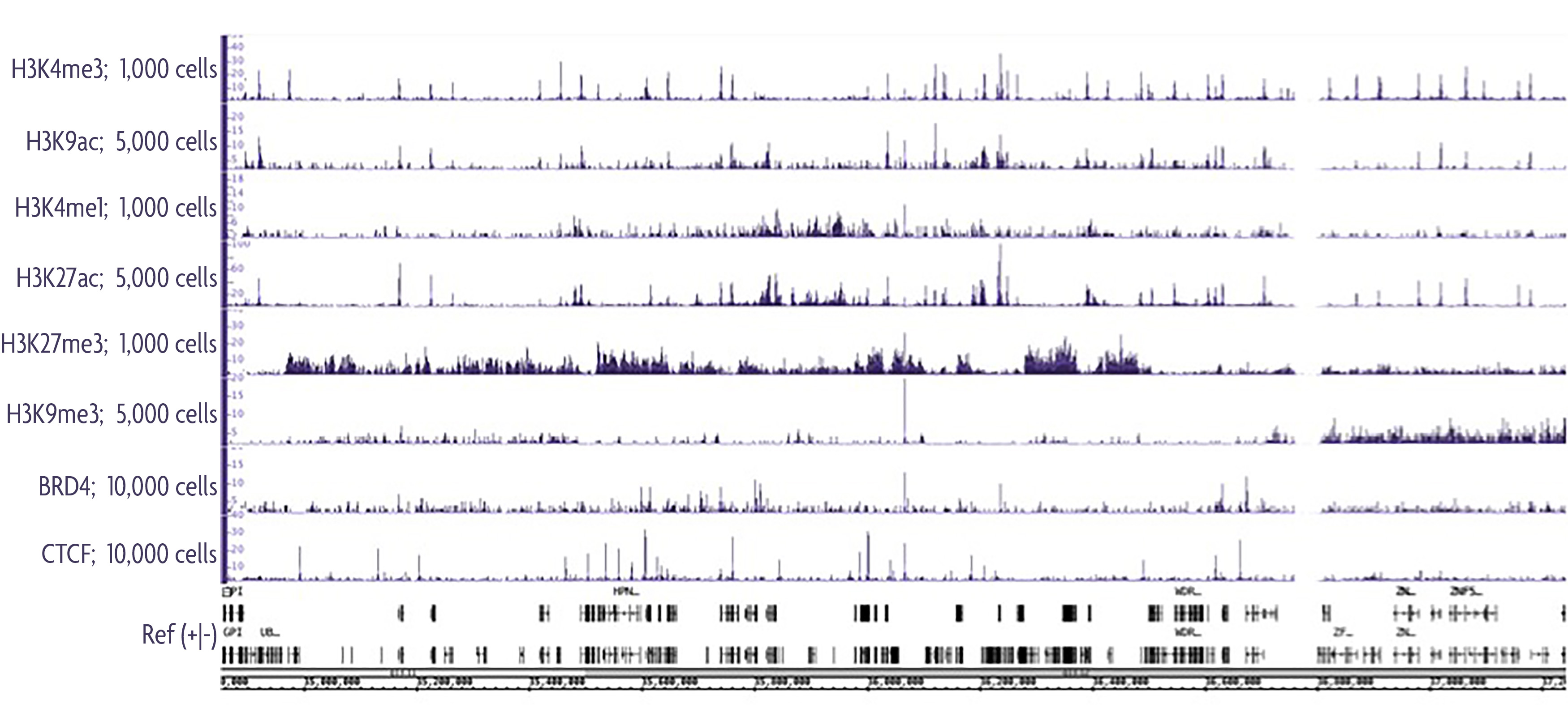 Low Cell ChIP-Seq Kit for Histone and Transcription Factors