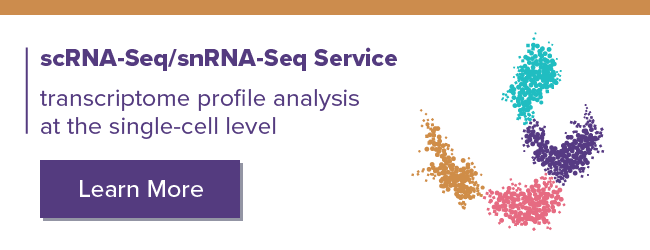 scRNA-Seq Serviecs