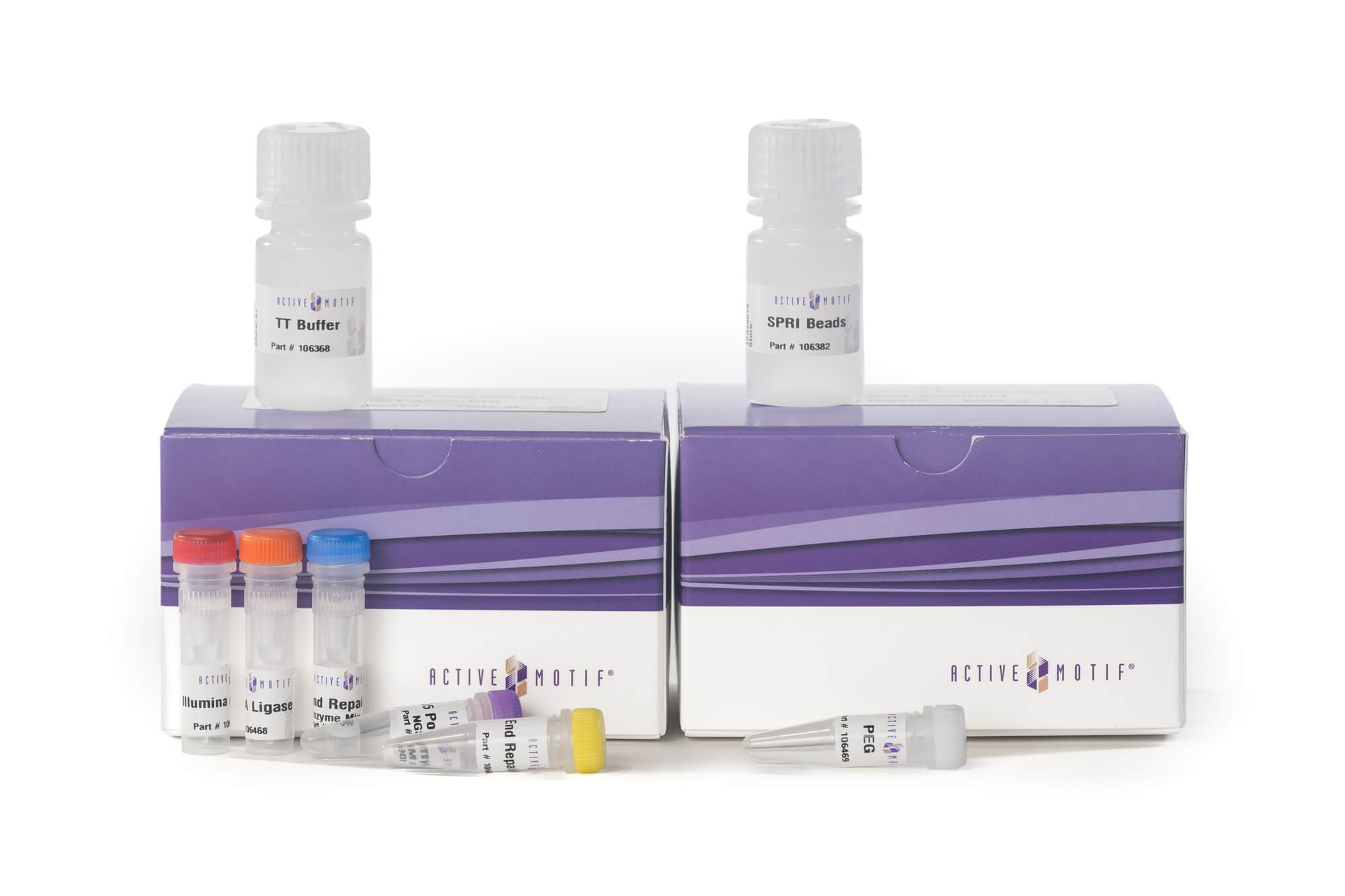 DNA Library Prep Kit for Illumina®