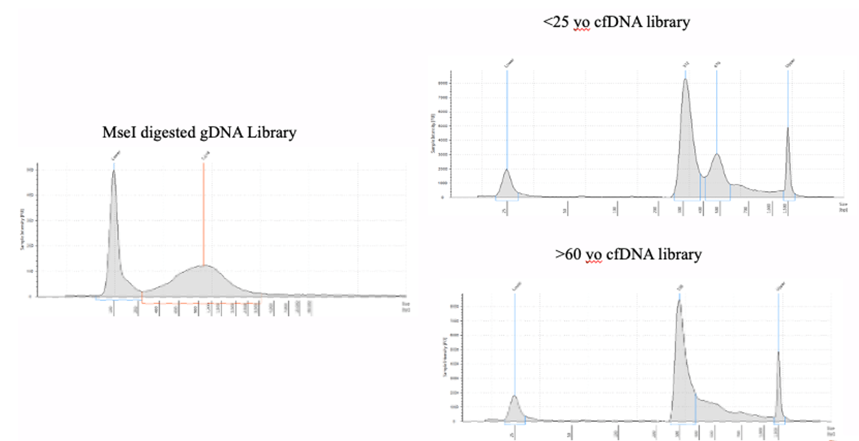 MeDIP (Methylated DNA Immunoprecipitation) for enrichment of methylated ...