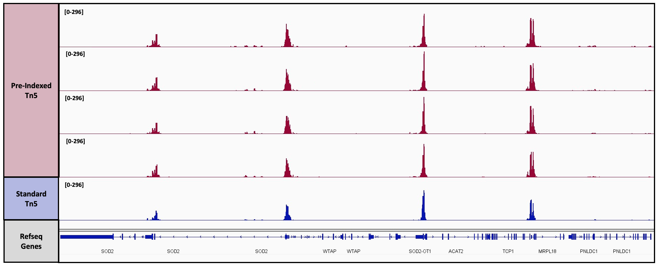 Recombinant Tn5 & pA-Tn5 Transposase Enzymes