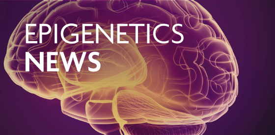 Epigenetics of Autism, Microbiome & Methylation, and piRNAs & Fertility
