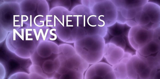 Epigenetics News