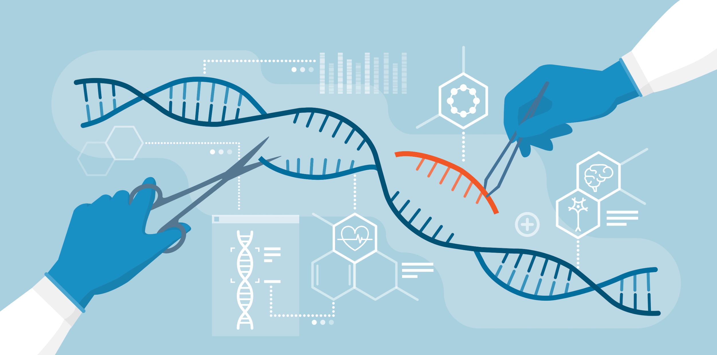 DNA Modifications