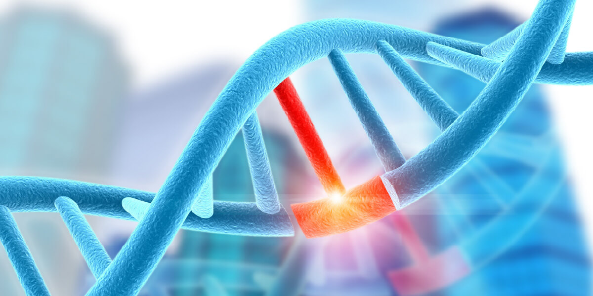 DNA Damage
