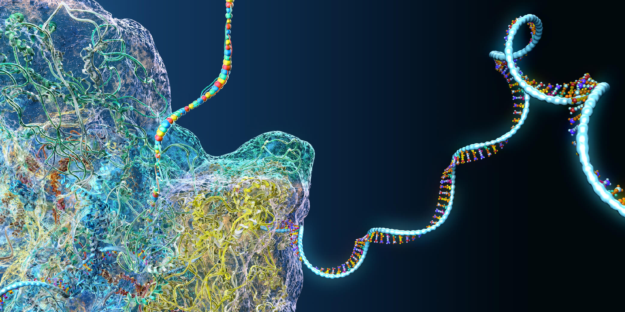 Modulating m6A Levels with Small-molecule Inhibitors - Why Target RNA ...