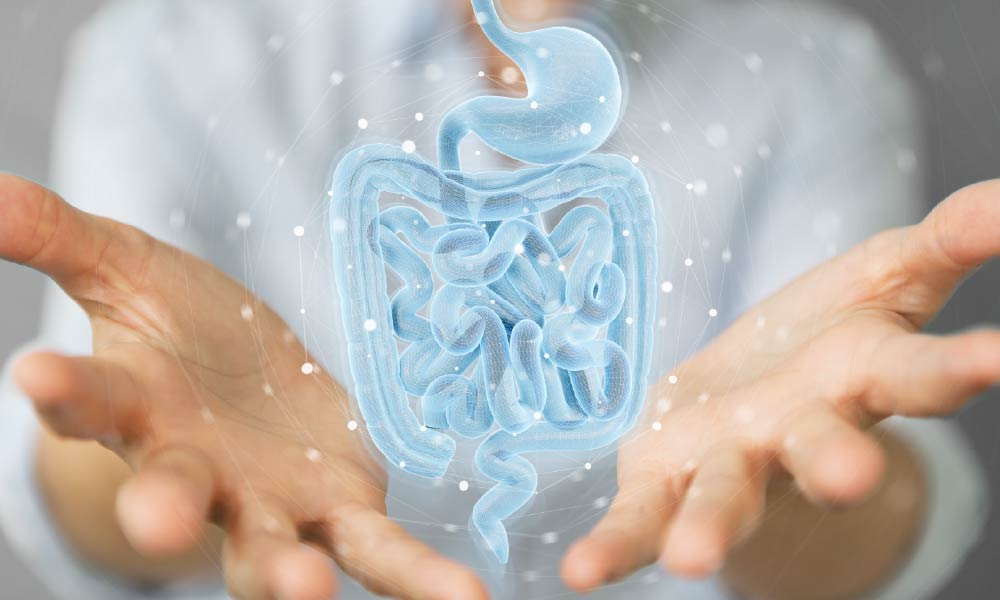 Woman using digital x-ray of human intestine