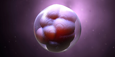 RNA epigenetics and embryo development