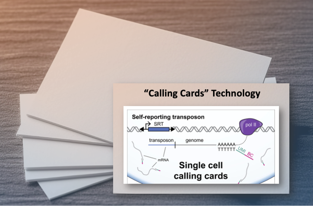 Transposon calling cards