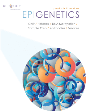 Brochures & Product Literature from the Epigenetics Experts at Active Motif